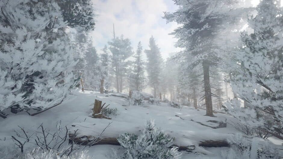 Скриншот 4 из Northern Lights