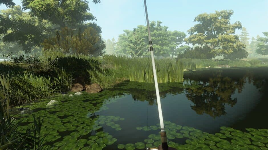 Скриншот 4 из Professional Fishing