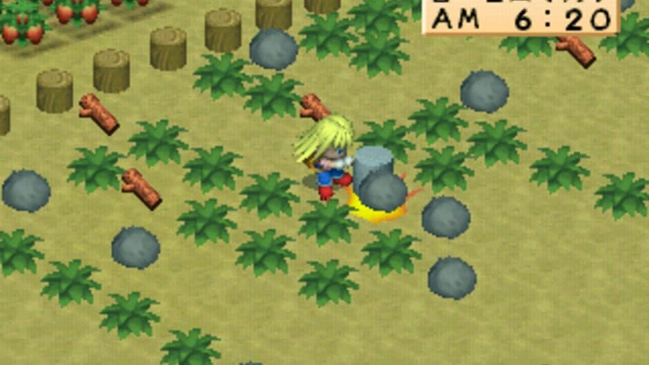 Скриншот 3 из Harvest Moon for Girl