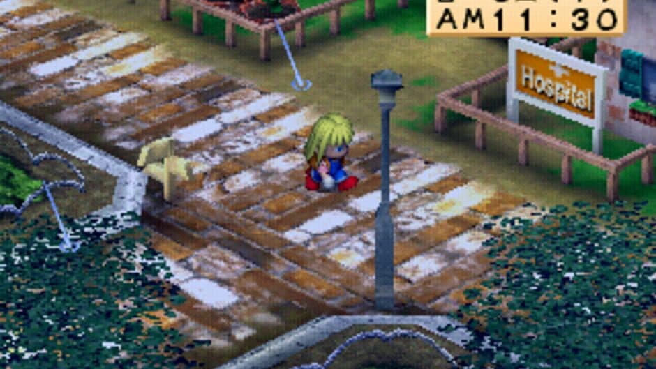 Скриншот 1 из Harvest Moon for Girl
