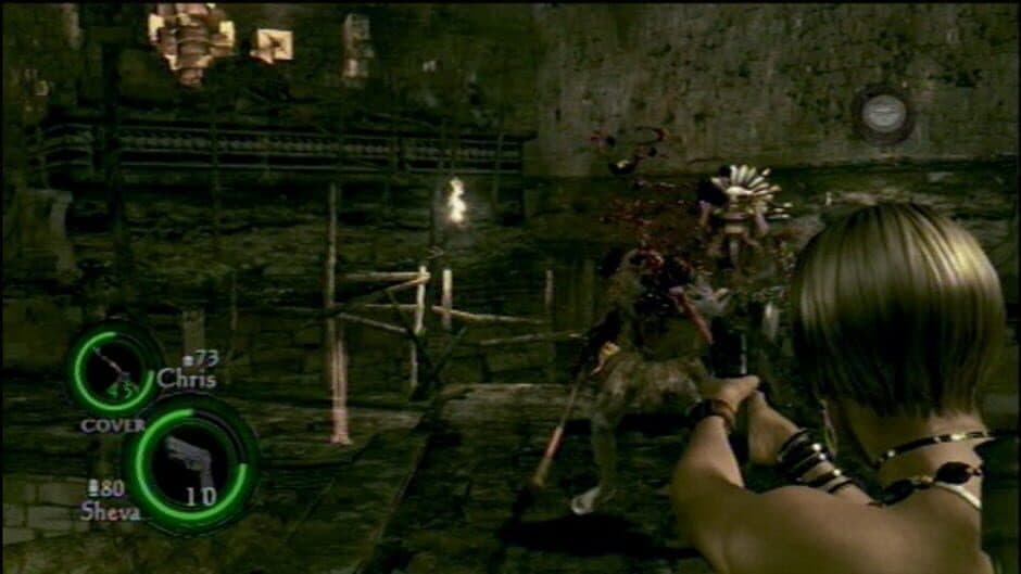 Скриншот 1 из Resident Evil 5: Collector's Edition