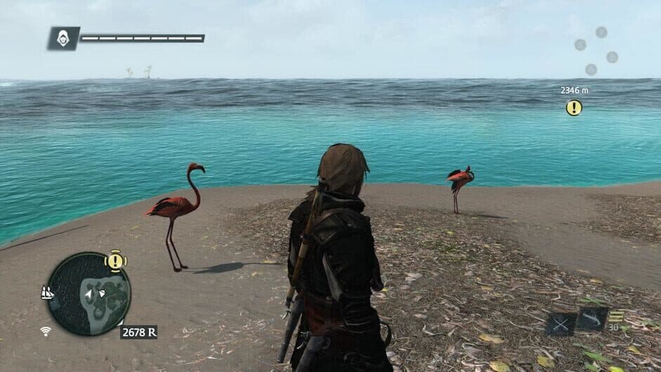 Скриншот 3 из Assassin's Creed IV: Black Flag - Buccaneer Edition
