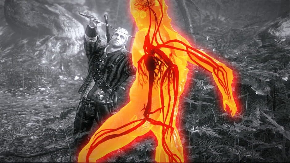 Скриншот 2 из The Witcher 2: Assassins of Kings - Premium Edition