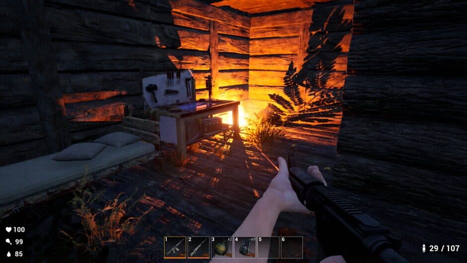 Скриншот 2 из Survival: Lost Way