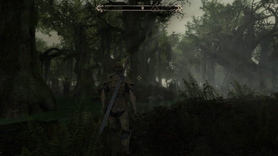 Скриншот 1 из The Elder Scrolls Renewal: Skywind