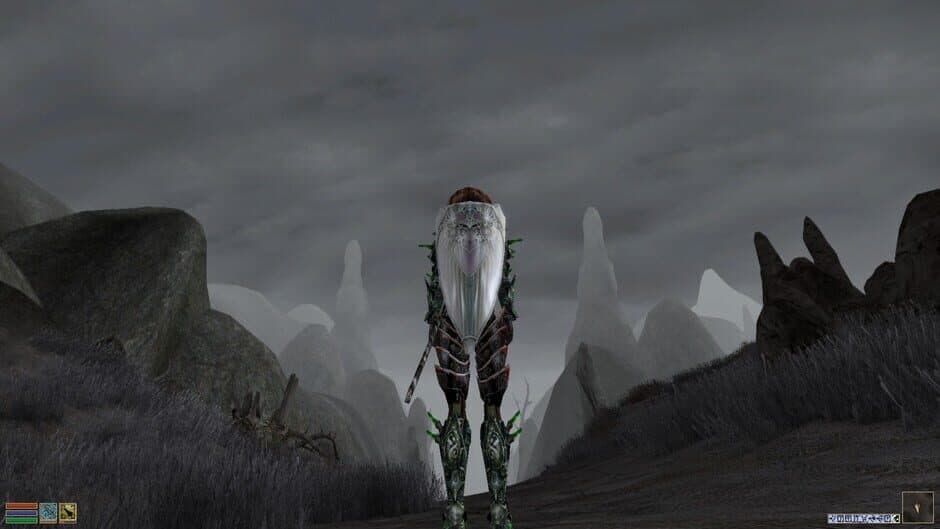 Скриншот 3 из The Elder Scrolls III: Morrowind