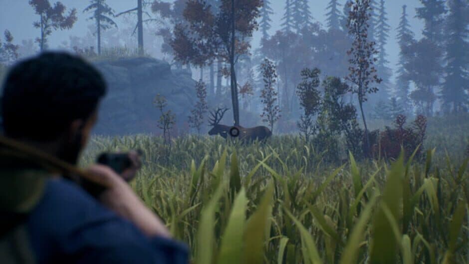Скриншот 2 из Open Country