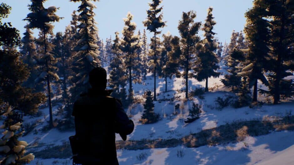 Скриншот 6 из Open Country