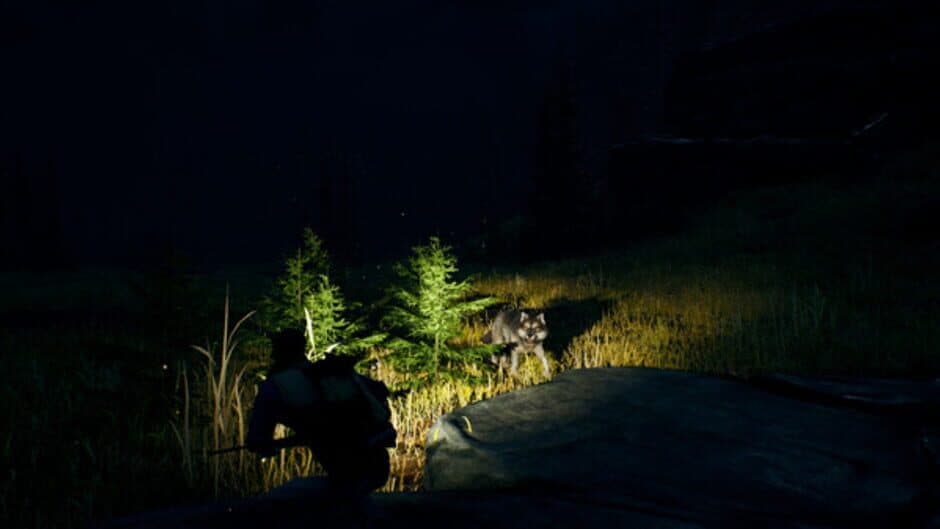 Скриншот 3 из Open Country
