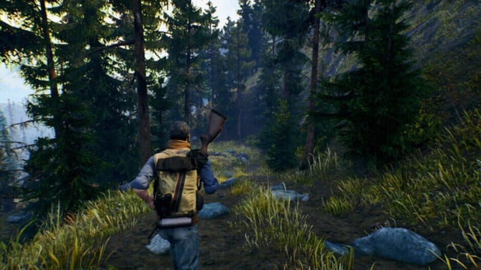 Скриншот 9 из Open Country