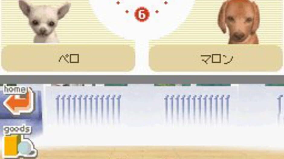 Скриншот 1 из Nintendogs: Dachshund & Friends