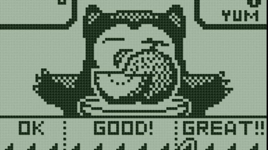 Скриншот 3 из Pokémon Mini: Snorlax's Lunch Time