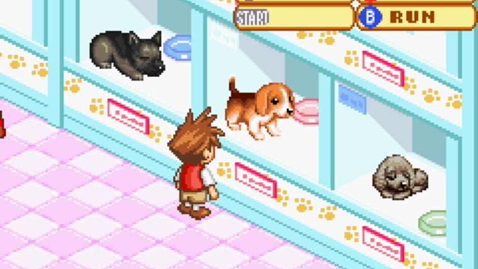 Скриншот 1 из Dogz 2