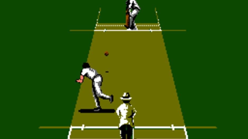 Скриншот 1 из International Cricket