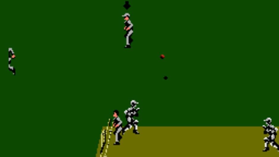 Скриншот 3 из International Cricket
