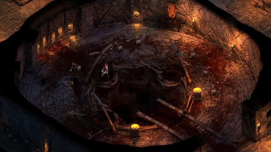 Скриншот 3 из Pillars of Eternity: Hero Edition