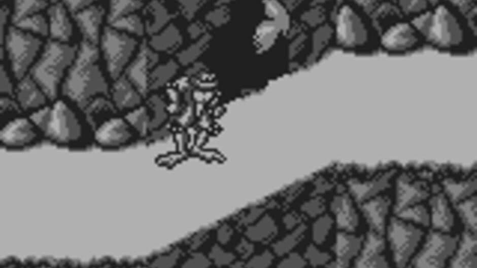 Скриншот 9 из Battletoads