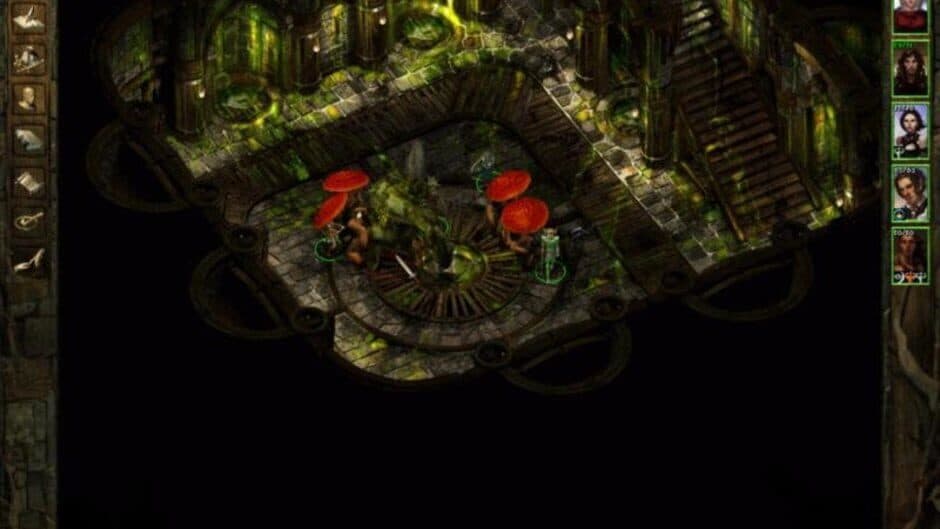 Скриншот 3 из Icewind Dale: Heart of Winter