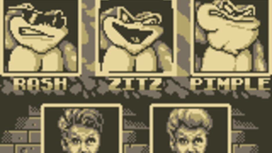 Скриншот 1 из Battletoads / Double Dragon