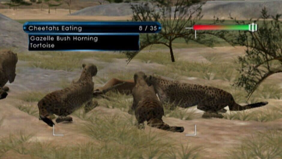 Скриншот 1 из Wild Earth: African Safari
