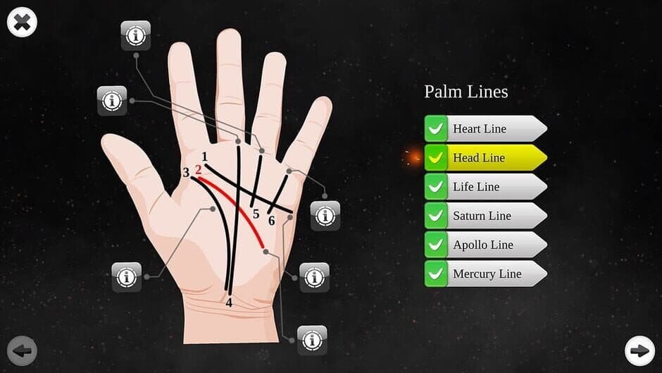 Скриншот 2 из Palm Reading Premium