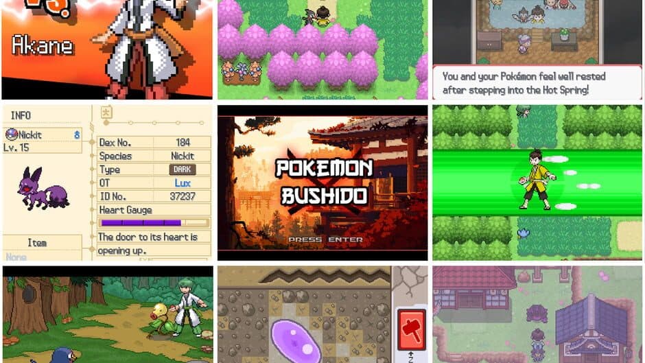 Скриншот 1 из Pokémon Bushido