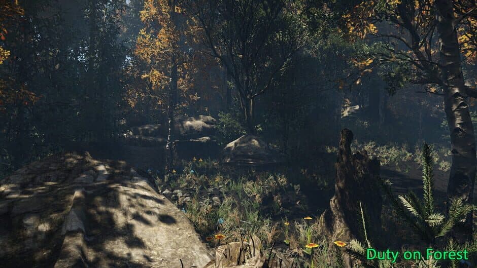 Скриншот 5 из Duty on Forest