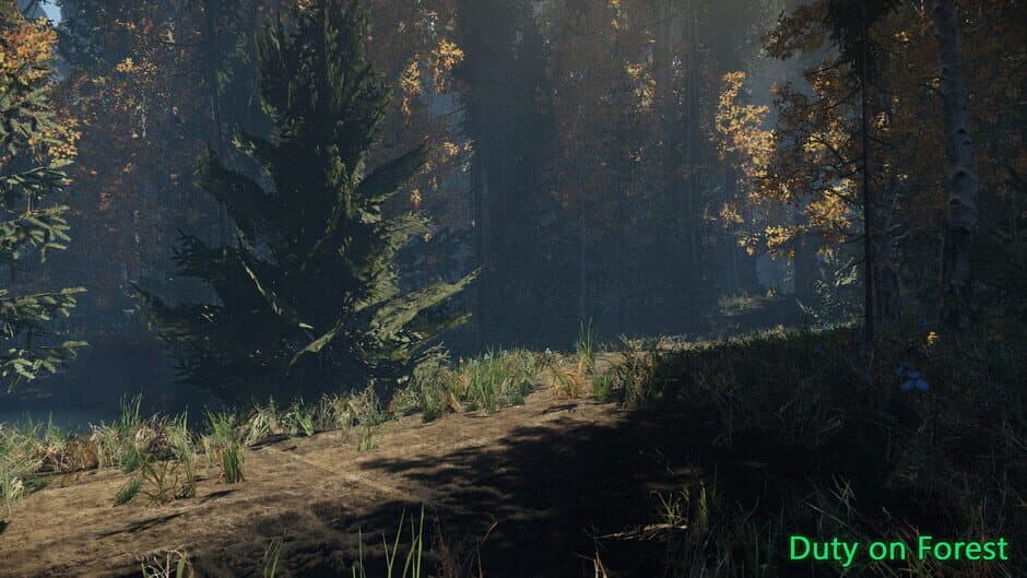 Скриншот 6 из Duty on Forest
