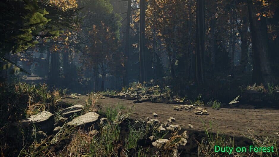 Скриншот 7 из Duty on Forest