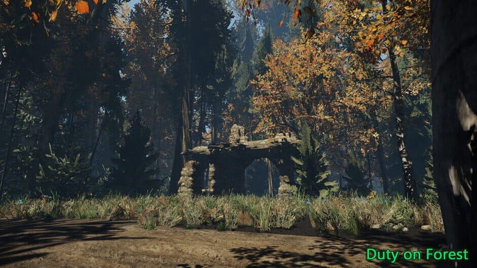 Скриншот 8 из Duty on Forest