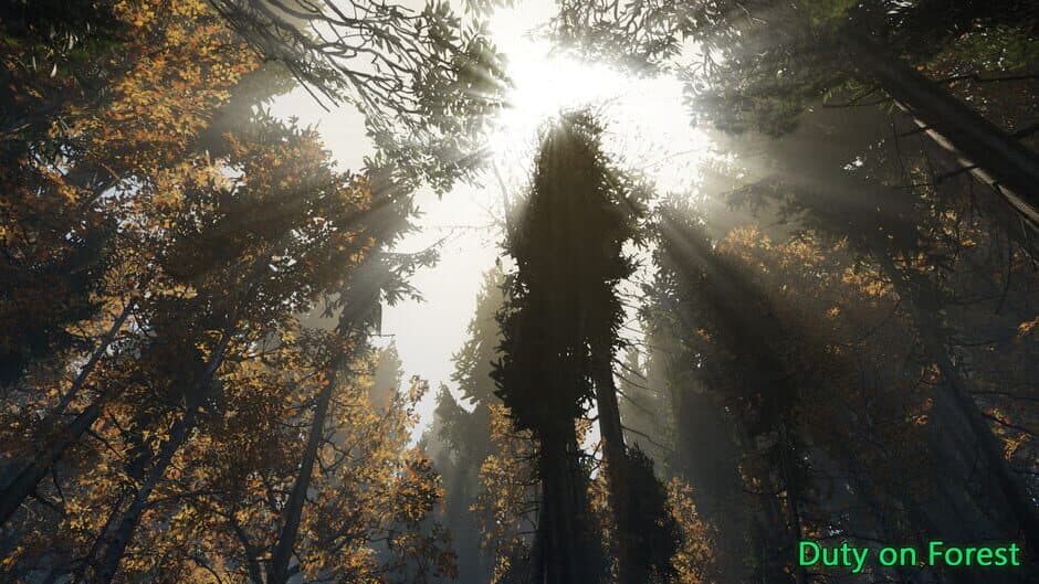 Скриншот 10 из Duty on Forest