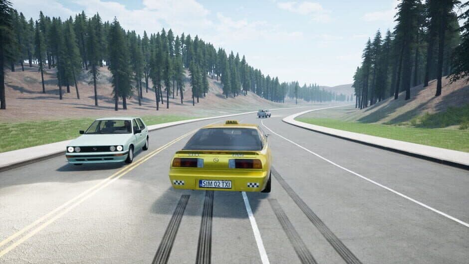 Скриншот 5 из Taxi Driver: The Simulation