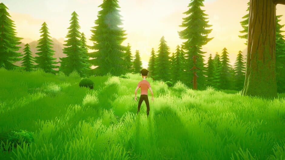 Скриншот 2 из Flowers for You: a pleasant walk