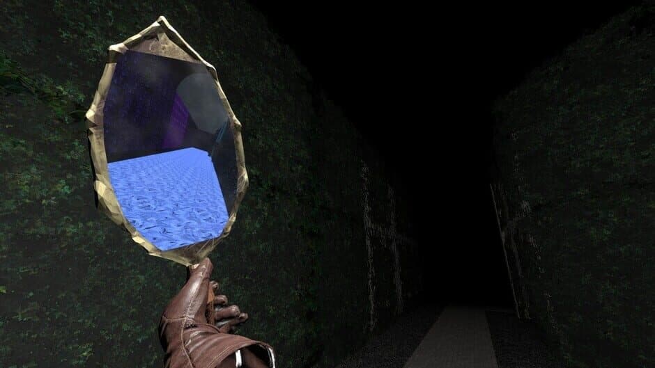 Скриншот 2 из Looking Glass