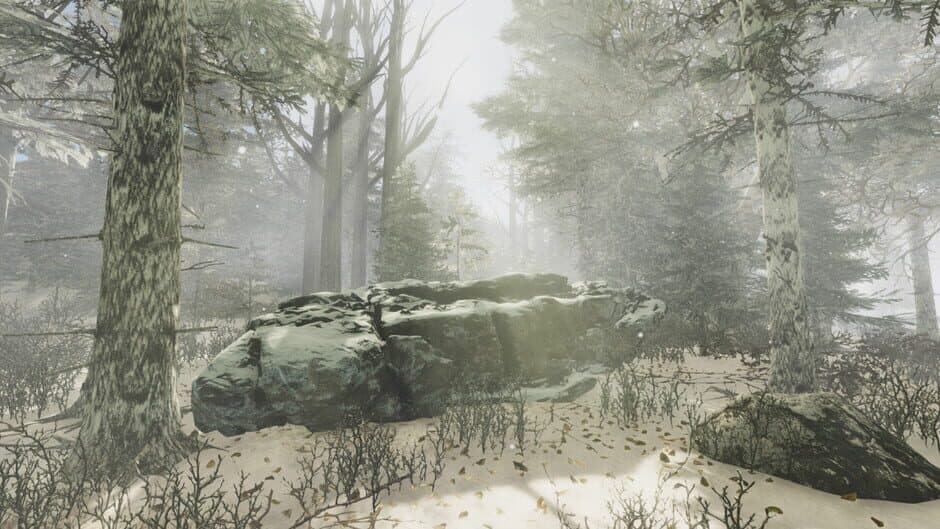 Скриншот 4 из Gander National Park