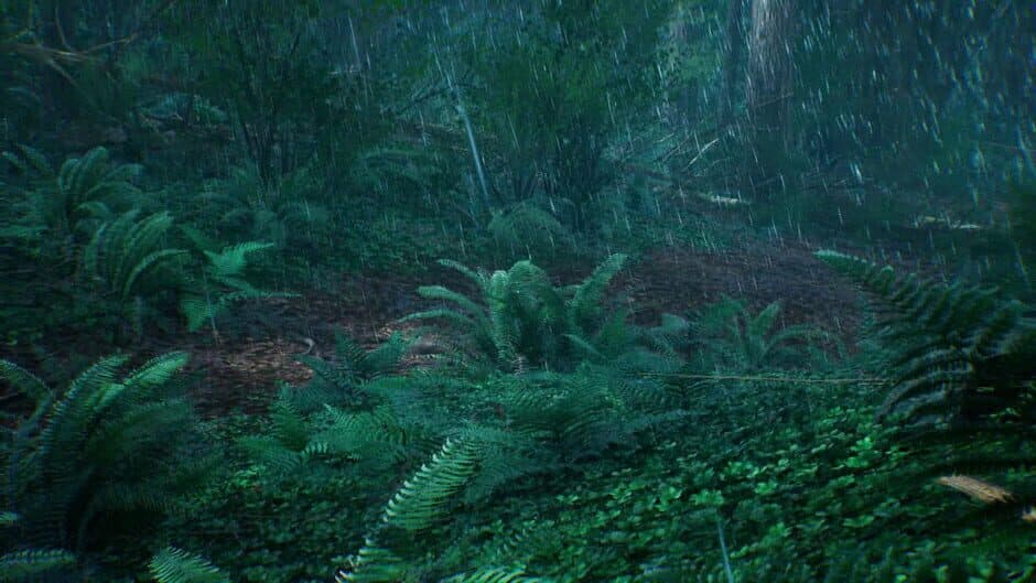 Скриншот 6 из Bella: The girl in the Woods