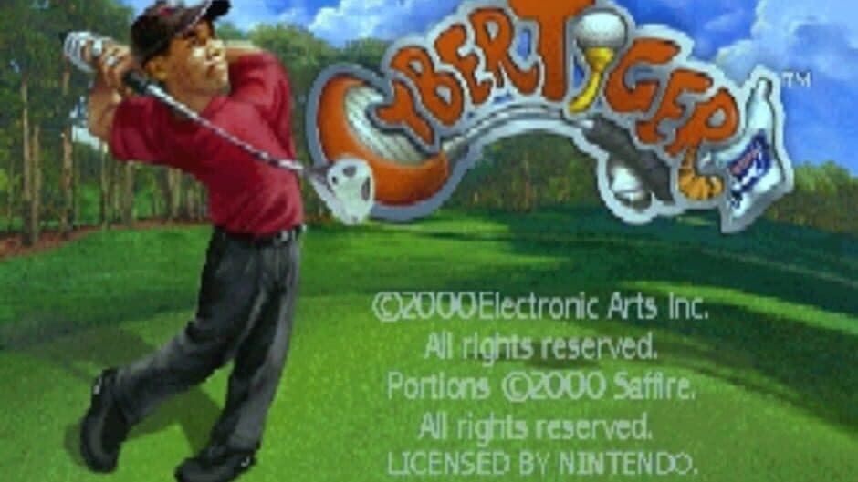 Скриншот 2 из Cyber Tiger