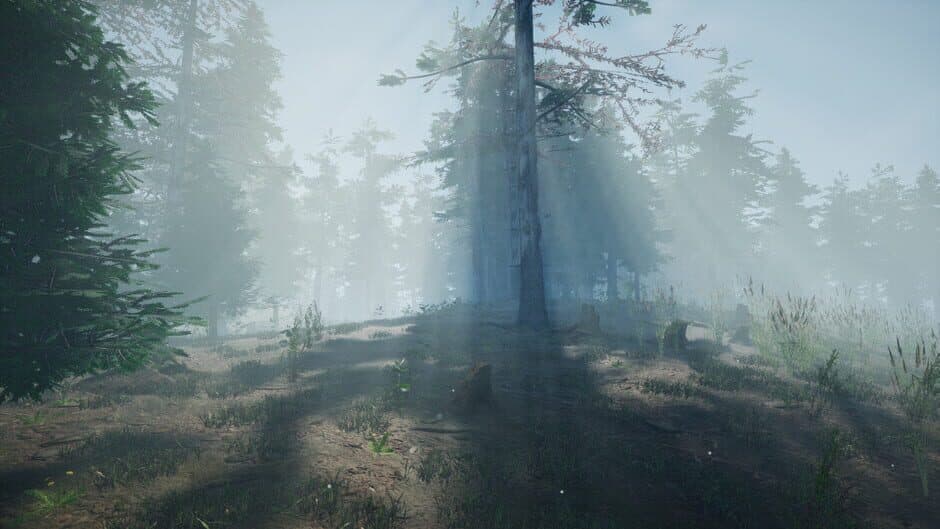 Скриншот 1 из Mushroom Picker Simulator