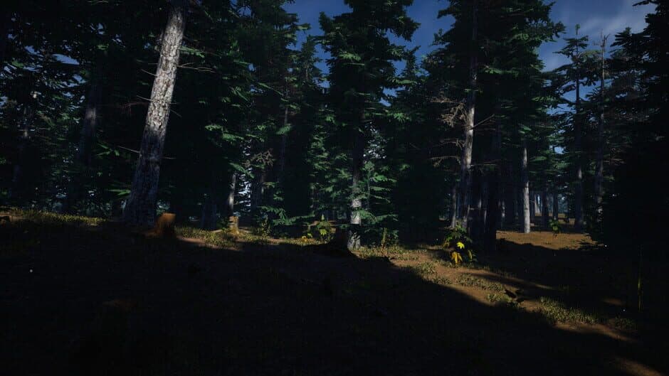 Скриншот 5 из Mushroom Picker Simulator