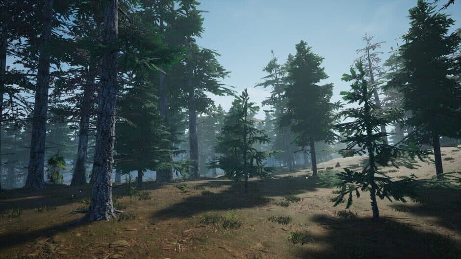 Скриншот 12 из Mushroom Picker Simulator