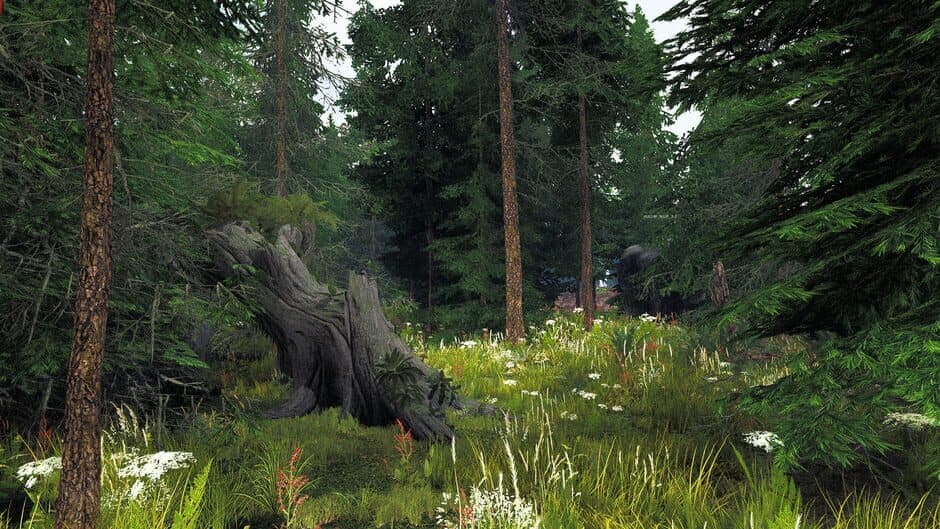 Скриншот 2 из Undergrowth: VR Maze