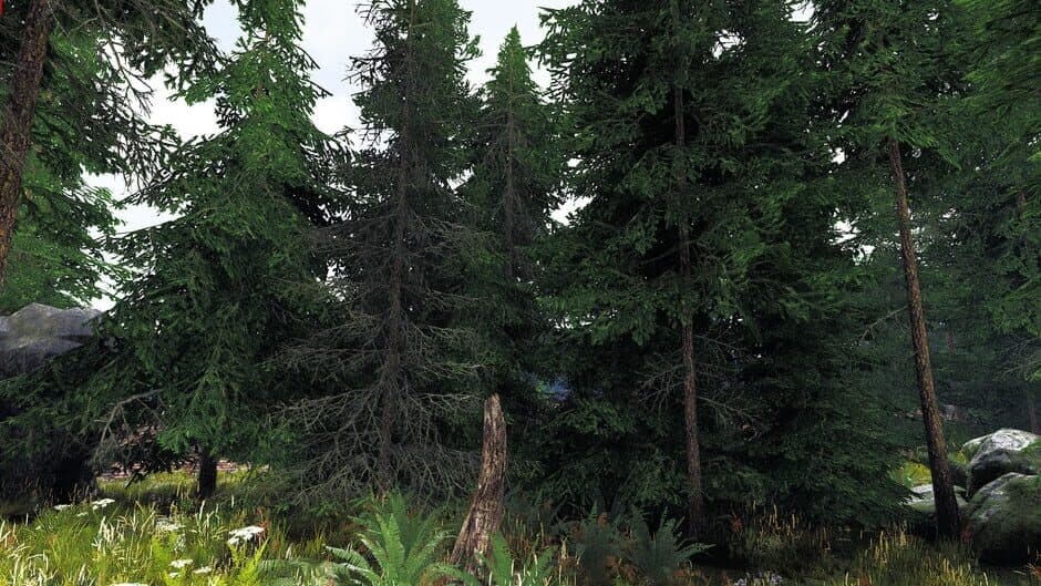 Скриншот 6 из Undergrowth: VR Maze