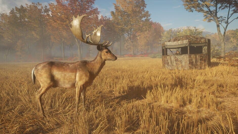 Скриншот 3 из TheHunter: Call of the Wild - Tents & Ground Blinds