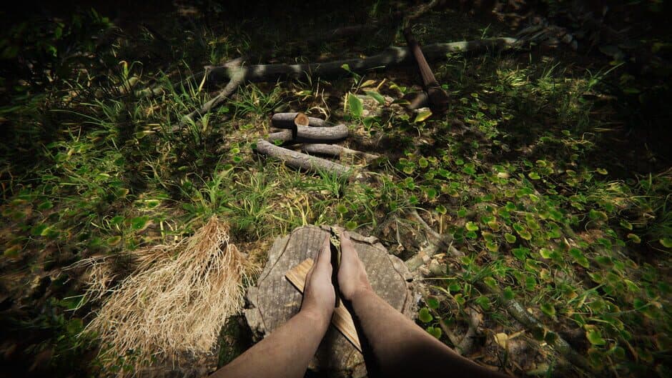 Скриншот 4 из Primal Man Simulator