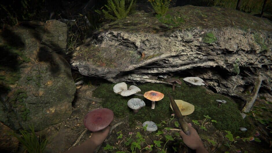 Скриншот 5 из Primal Man Simulator