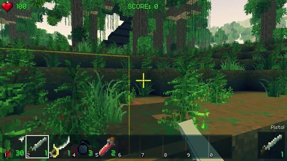Скриншот 2 из Piratecraft