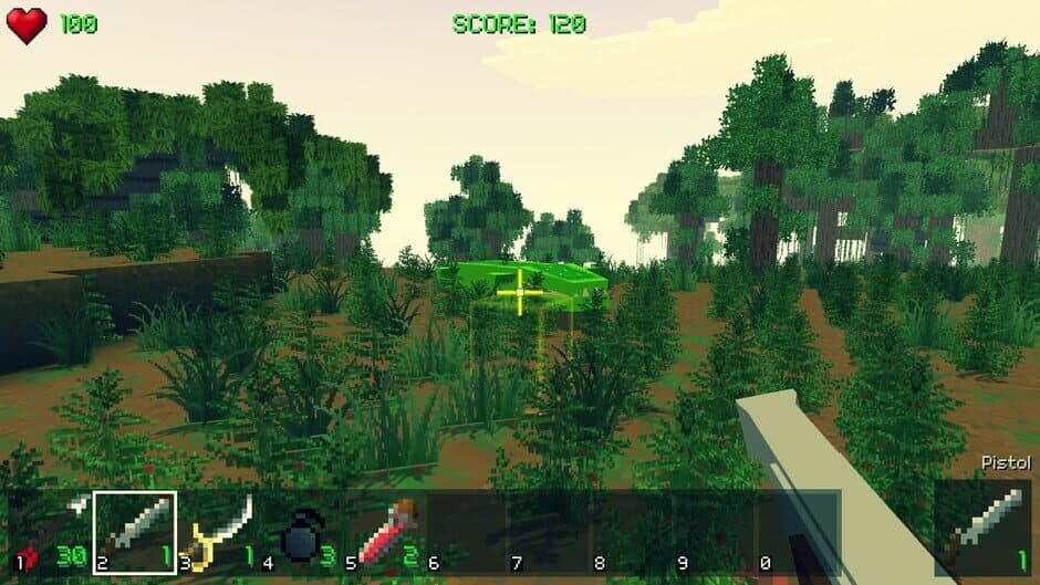 Скриншот 10 из Piratecraft