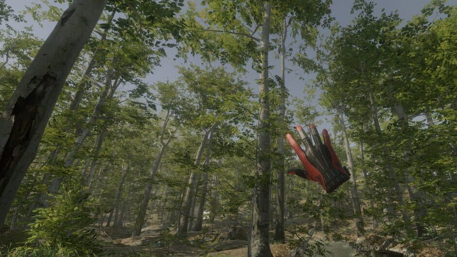 Скриншот 1 из VR Walking Simulator