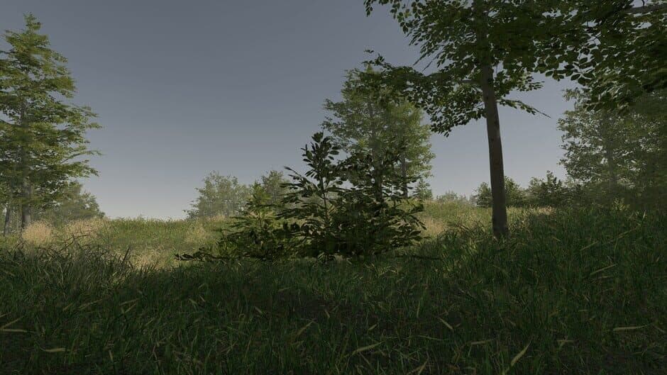 Скриншот 10 из VR Walking Simulator