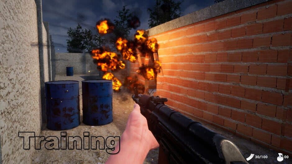 Скриншот 8 из Rio Warzone